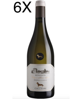 Shop online italian white wine Ribolla Gialla Eugenio Collavini. Best price online quality italian wine