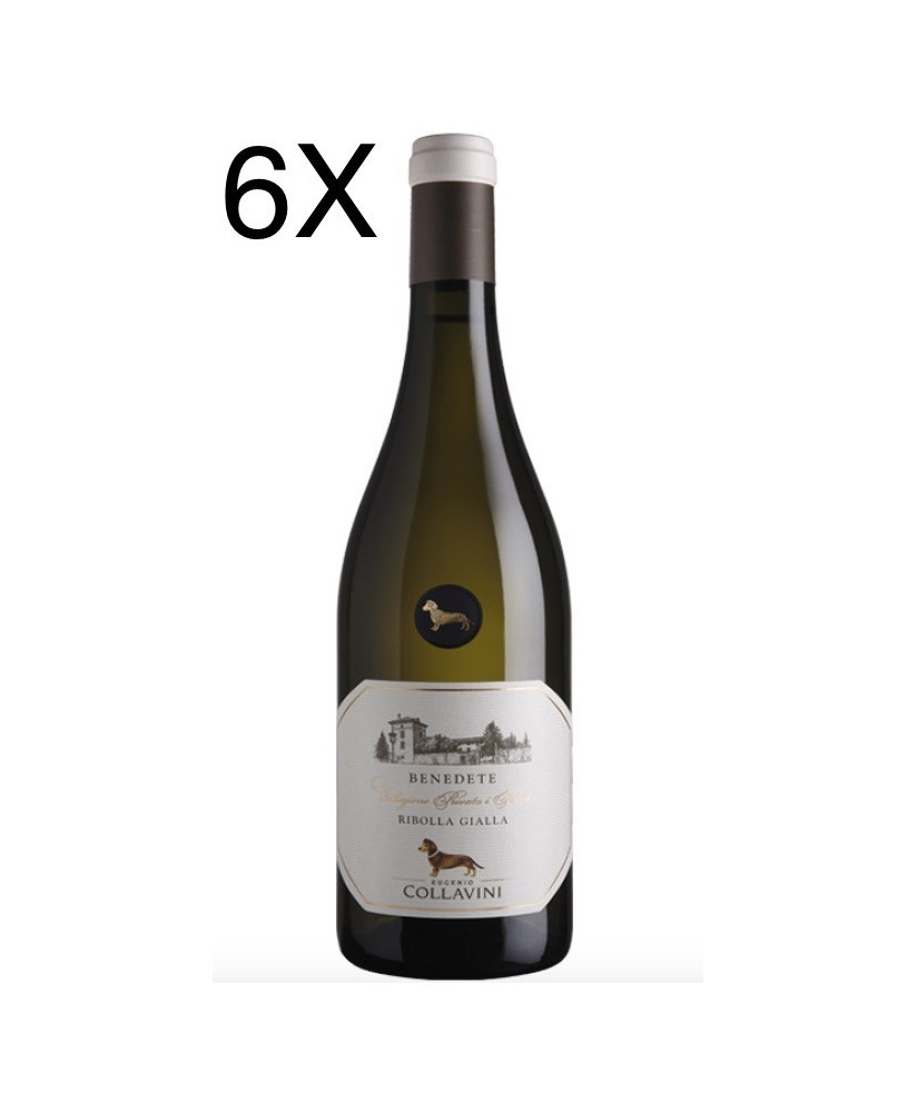 Shop online italian white wine Ribolla Gialla Eugenio Collavini. Best price online quality italian wine