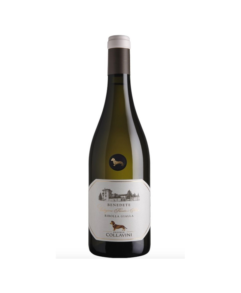 Vendita online Ribolla Gialla Benedete Eugenio Collavini. Miglior prezzo on-line vini bianchi del collio. Qualità