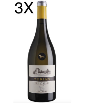 Vendita online Ribolla Gialla Turian Eugenio Collavini. Miglior prezzo on-line vini bianchi di qualità