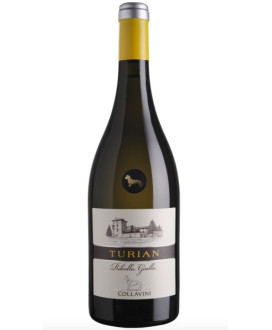 Shop online italian wine Turian Ribolla Gialla Collio Eugenio Collavini. Best price online quality italian wine
