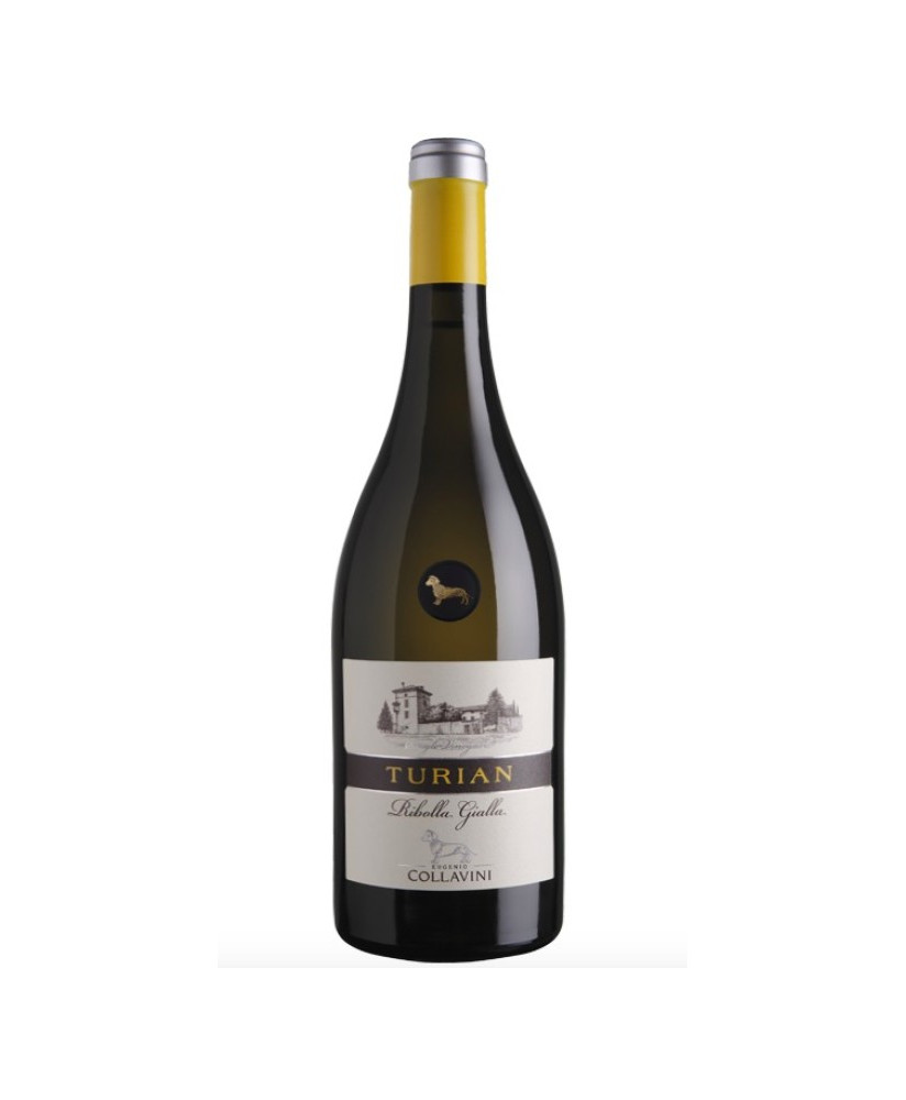 Shop online italian wine Turian Ribolla Gialla Collio Eugenio Collavini. Best price online quality italian wine