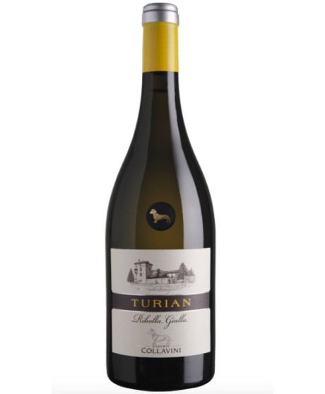Shop online italian wine Turian Ribolla Gialla Collio Eugenio Collavini. Best price online quality italian wine Shop online italian wine Turian Ribolla Gialla Collio Eugenio Collavini. Best price online quality italian wine