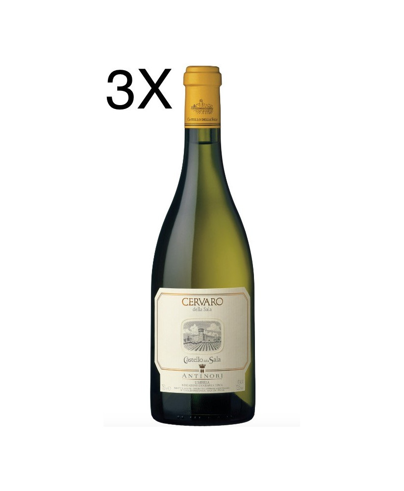 Cervaro della Sala - Castello della Sala - Marchesi Antinori - Shop online white wine place in barriques - Sale price