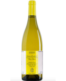 Antonucci Bianco Verdicchio superiore Azienda Agricola Santa Barbara - Vendita online verdicchio marchigiano qualità