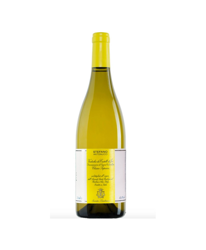 Antonucci Bianco Verdicchio superiore Azienda Agricola Santa Barbara - Vendita online verdicchio marchigiano qualità