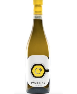 Online Sale OUR SELECTION OF WHITE WINES FROM THE BEST BRANDS. BOTTLES 75 CL  Vulpitta Corso 101