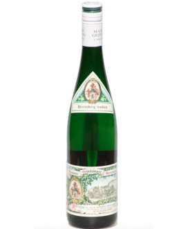 Von Schubert - Riesling 2022 - SCHLOSS - Trocken - Dry - QbA - 75cl