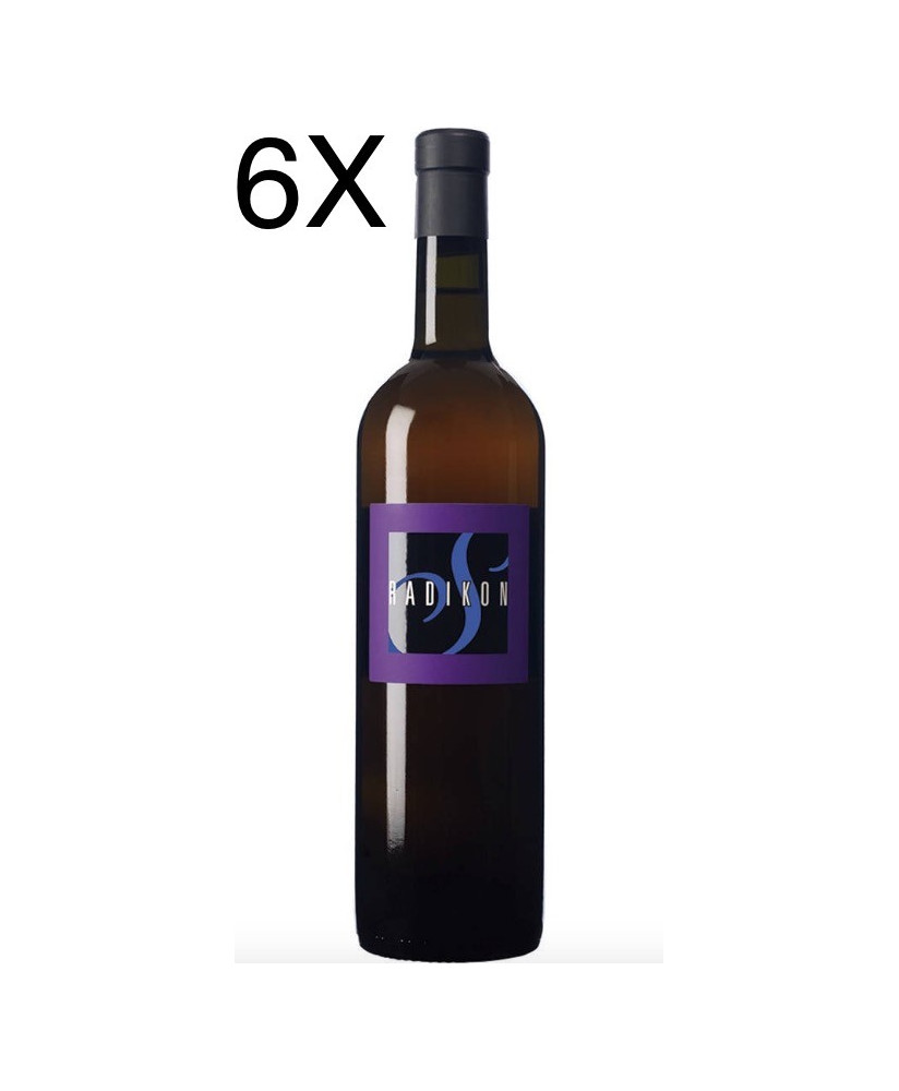 Radikon - Pinot Grigio - Sivi - Vendita online miglior prezzo vino bianco Radikon - Vini Friulani di qualità "Triple A" shop 