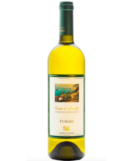 Marisa Cuomo - Furore Bianco - Costa d'Amalfi - Vendita online vini bianchi - Shop falanghina Cuomo