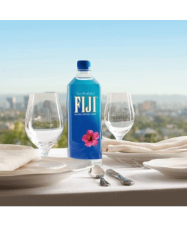 Fiji Artesian Water 100cl - Vendita online acqua Fiji artesiana naturale - Prezzo scontato acqua naturale Fiji da 1 litro