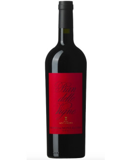 Antinori - Pian delle Vigne - Rosso di Montalcino 2022 - DOC - 75cl