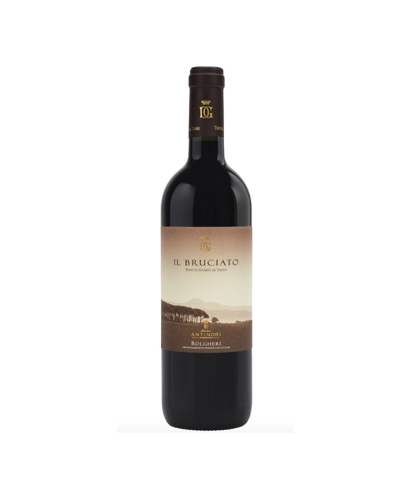 Vendita online Il Bruciato DOC, Tenuta Guado al Tasso, Marchesi Antinori. Shop on line al miglior prezzo vino rosso toscano. Eno