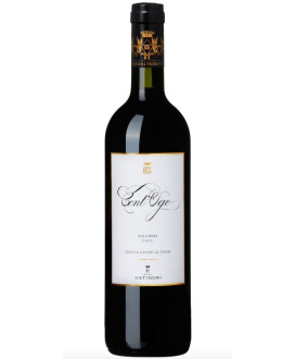 Online sales Cont'Ugo Bolgheri DOC, Guado al Tasso, Marchesi Antinori. Shop online at the best price merlot red wine from Tuscan