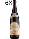 (6 BOTTIGLIE) Tommasi - Amarone 2019 - Amarone della Valpolicella Classico DOCG - 75cl