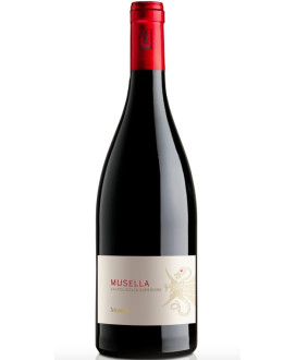 Musella - Valpolicella Superiore Organic - Online sales biodynamic Veneto red wines - italian red wine online shop
