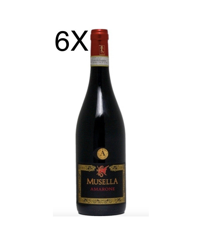 (6 BOTTLES) Musella - Amarone della Valpolicella 2013 - DOCG - 75cl