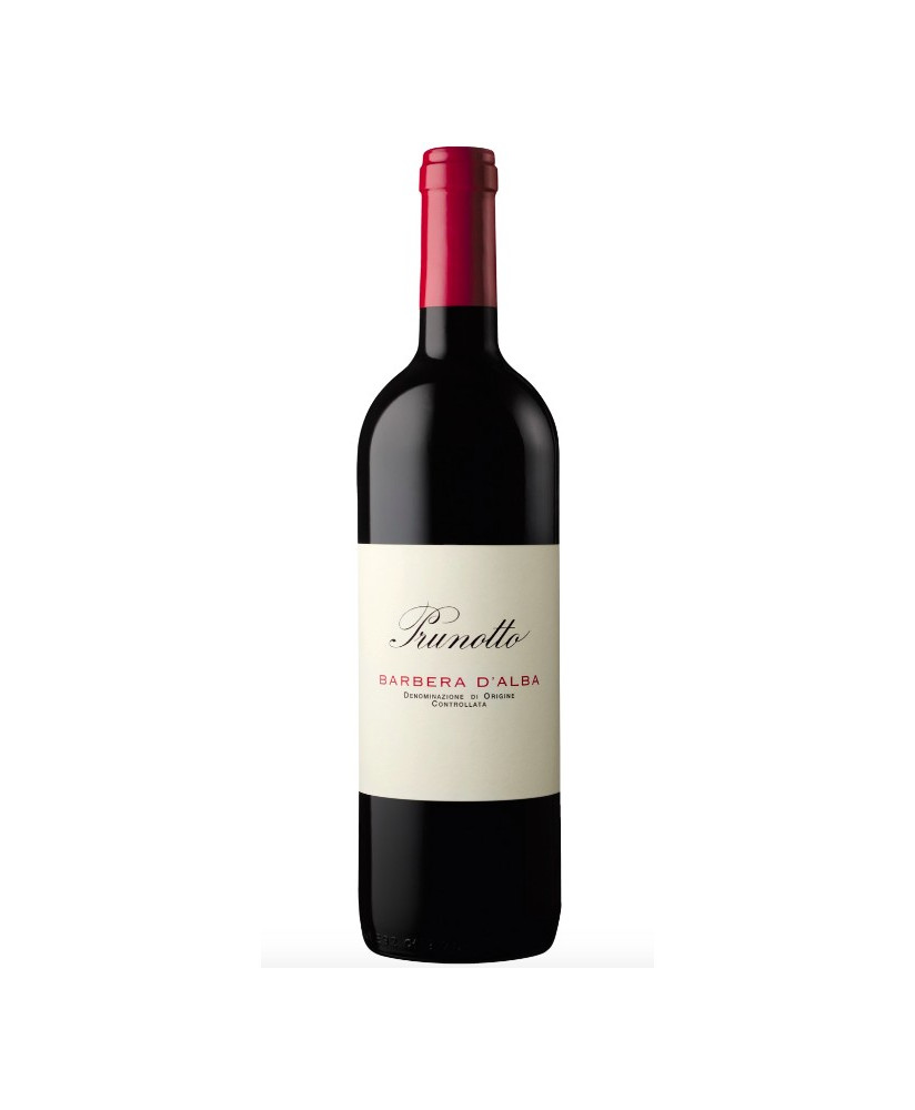 Prunotto Barbera d'Alba prezzo scontato vino rosso piemontese online | Corso101