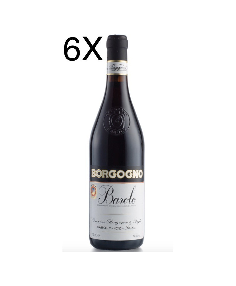 (6 BOTTIGLIE) Borgogno - Barolo 2017 - DOCG - 75cl