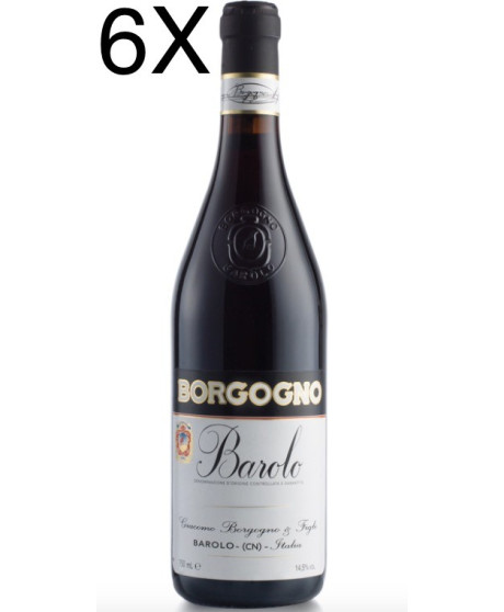 (6 BOTTIGLIE) Borgogno - Barolo 2017 - DOCG - 75cl