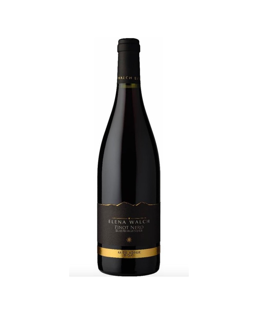 Italian Wines Elena Walch Pinot Nero shop online | Corso101.com