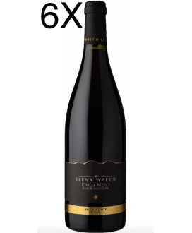 Vini Elena Walch Pinot Nero prezzo scontato online | Corso101.com