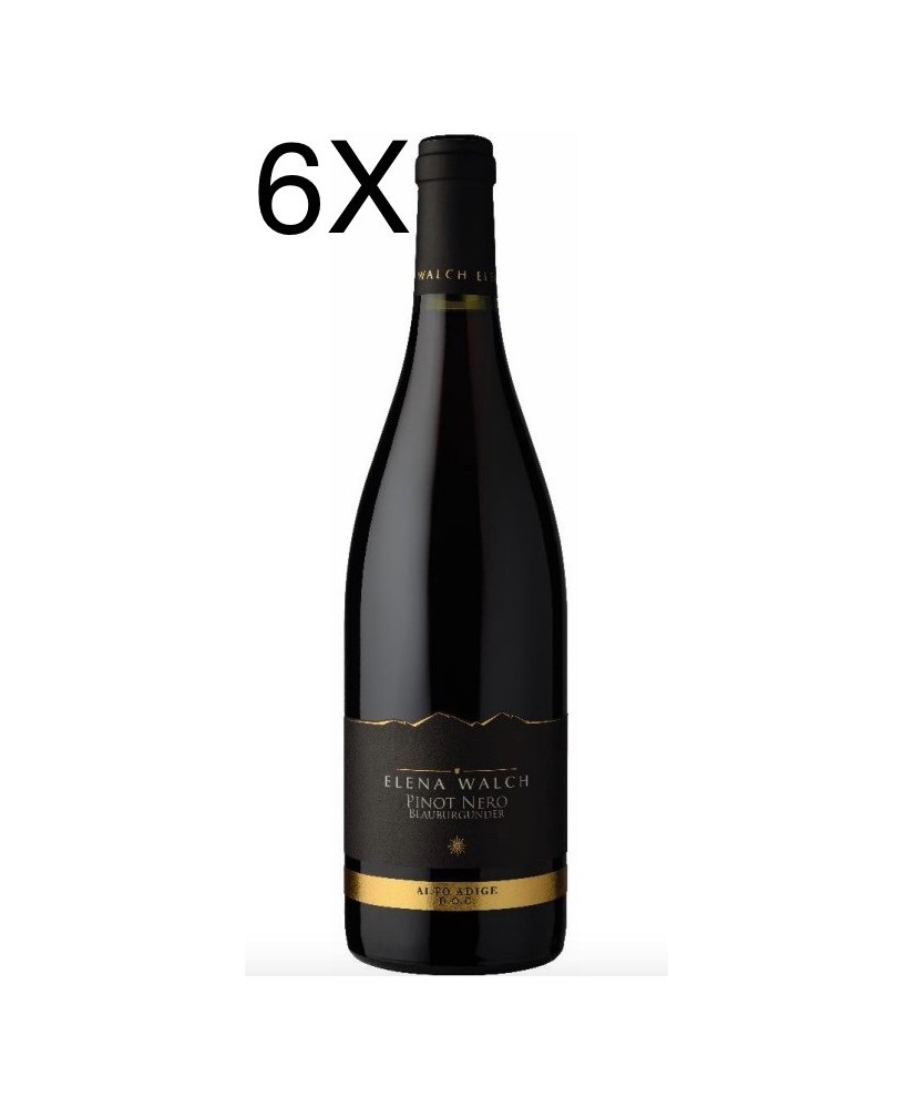 Vini Elena Walch Pinot Nero prezzo scontato online | Corso101.com