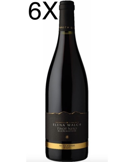 Italian Wines Elena Walch Pinot Nero shop online | Corso101.com