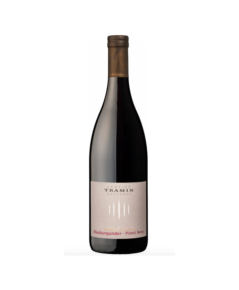 Tramin Pinot Nero italian quality red wine low price shop online | Corso101