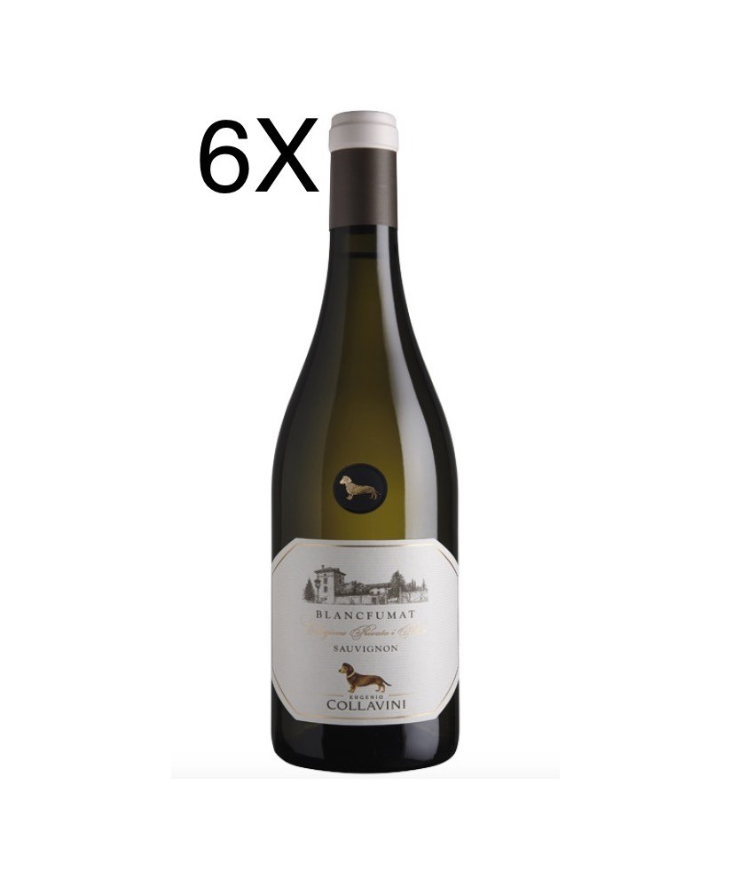 Shop online italian white wine Sauvignon Blanc Fumat Eugenio Collavini. Best price online quality italian wine