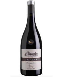 Vendita online Turian Schioppettino Eugenio Collavini. Miglior prezzo on-line vini rossi di qualità