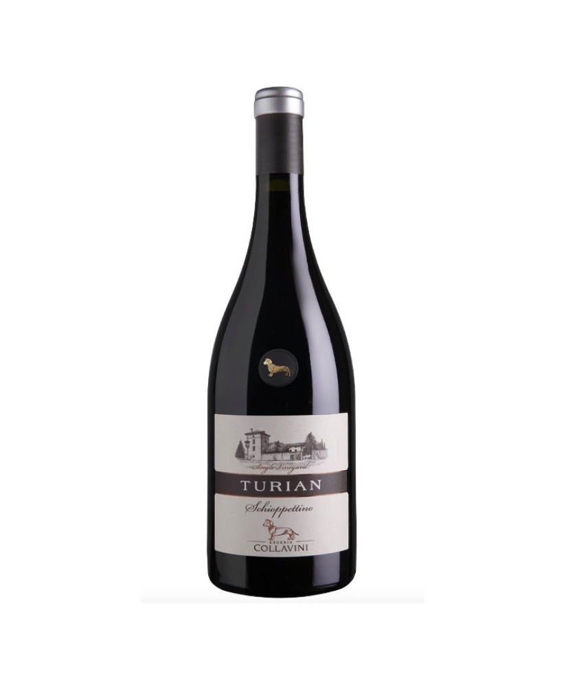 Shop online italian wine Schioppettino Turian Eugenio Collavini. Best price online quality italian wine