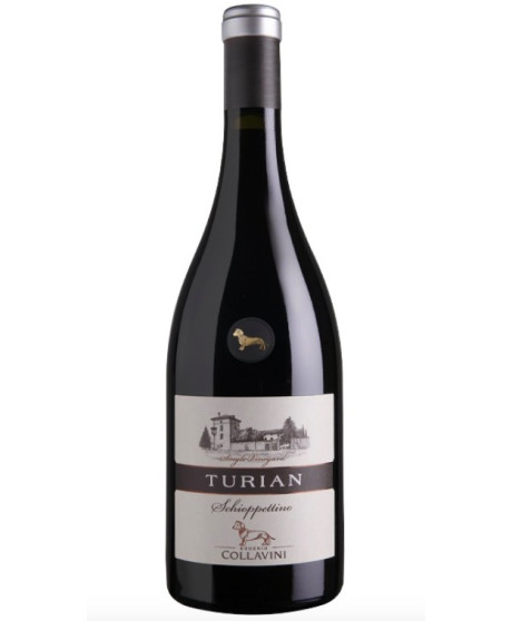 Vendita online Turian Schioppettino Eugenio Collavini. Miglior prezzo on-line vini rossi di qualità Vendita online Turian Schioppettino Eugenio Collavini. Miglior prezzo on-line vini rossi di qualità