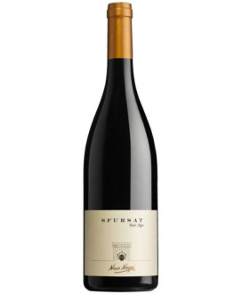 Sfursat Carlo Negri vino rosso Valtellina Nino Negri online | corso101.com
