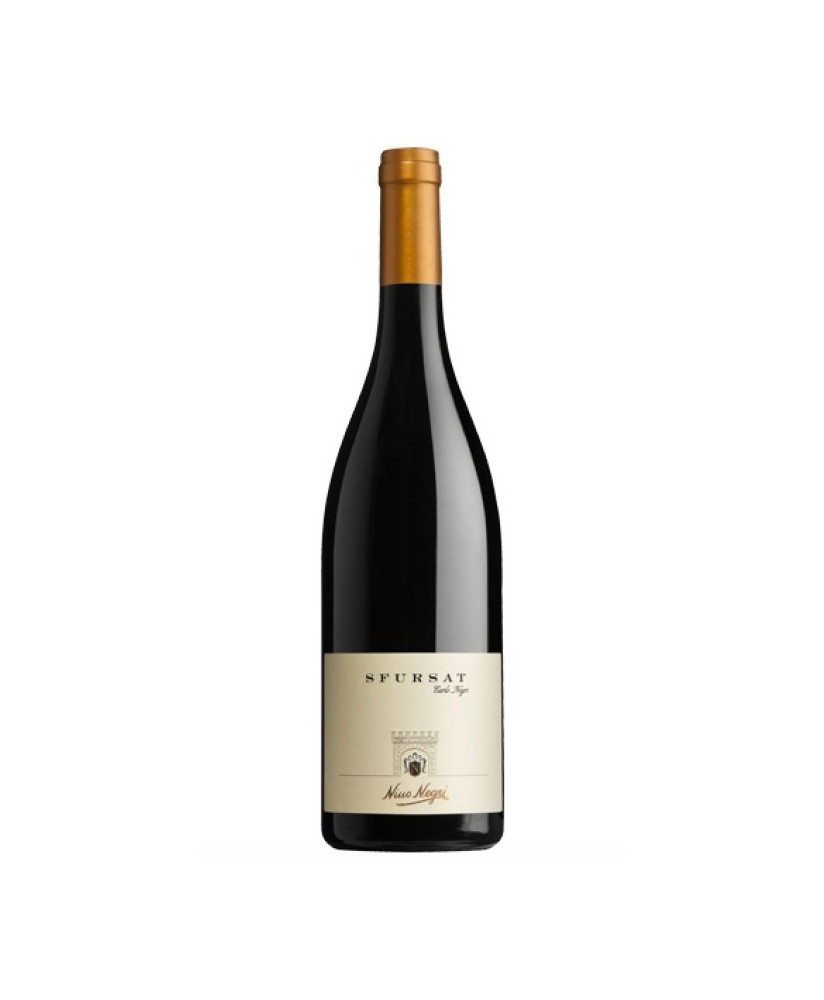 Sfursat Carlo Negri vino rosso Valtellina Nino Negri online | corso101.com