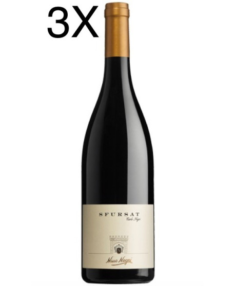Sfursat Carlo Negri vino rosso Valtellina Nino Negri online | corso101.com