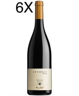 Sfursat Carlo Negri vino rosso Valtellina Nino Negri online | corso101.com