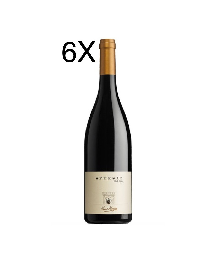 Sfursat Carlo Negri vino rosso Valtellina Nino Negri online | corso101.com