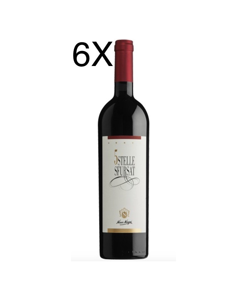 Sfursat 5 Stelle Nino Negri vino rosso Valtellina online | corso101.com