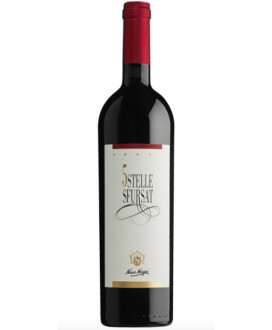 Nino Negri - Sfursat "5 STELLE" 2020 - DOCG - 75cl