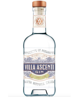 Villa Ascenti Gin Piemontese Diageo vendita online prezzo scontato | corso101.com