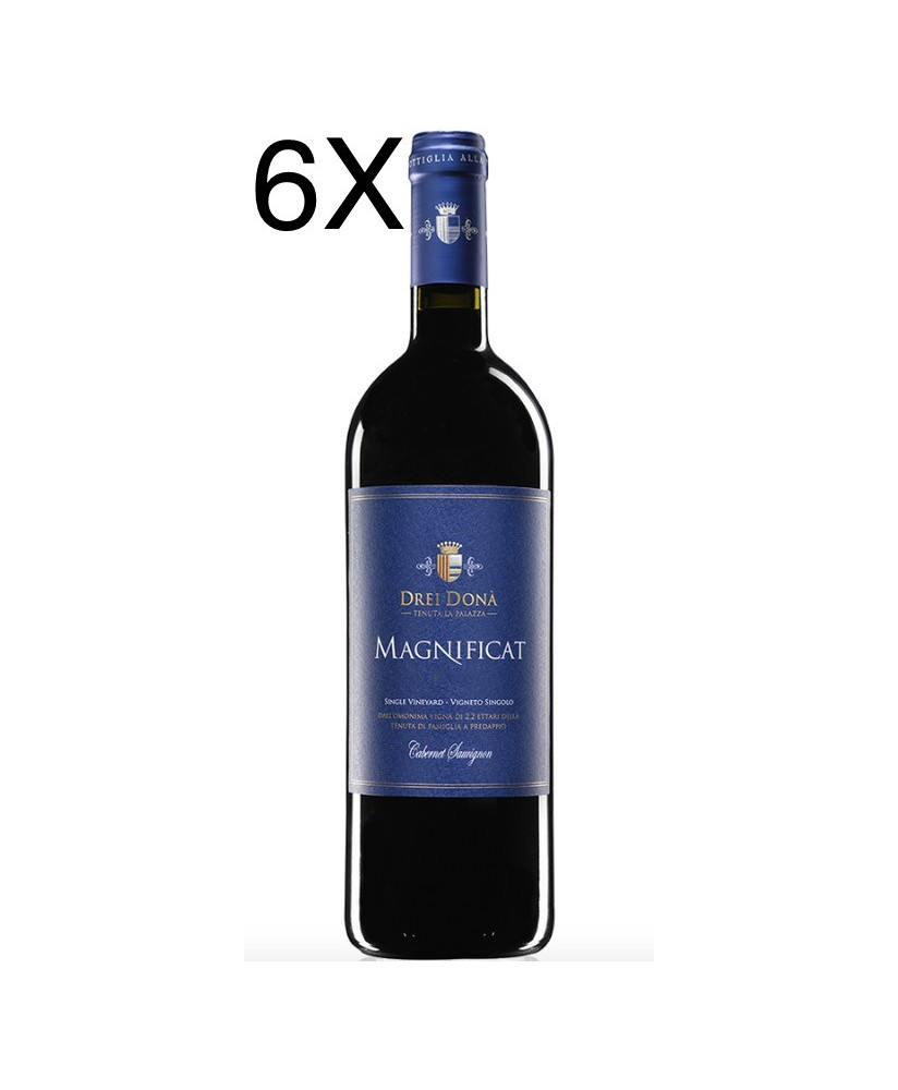 Magnificat vino rosso Drei Donà Cabernet vendita online vini rossi | Corso101.com