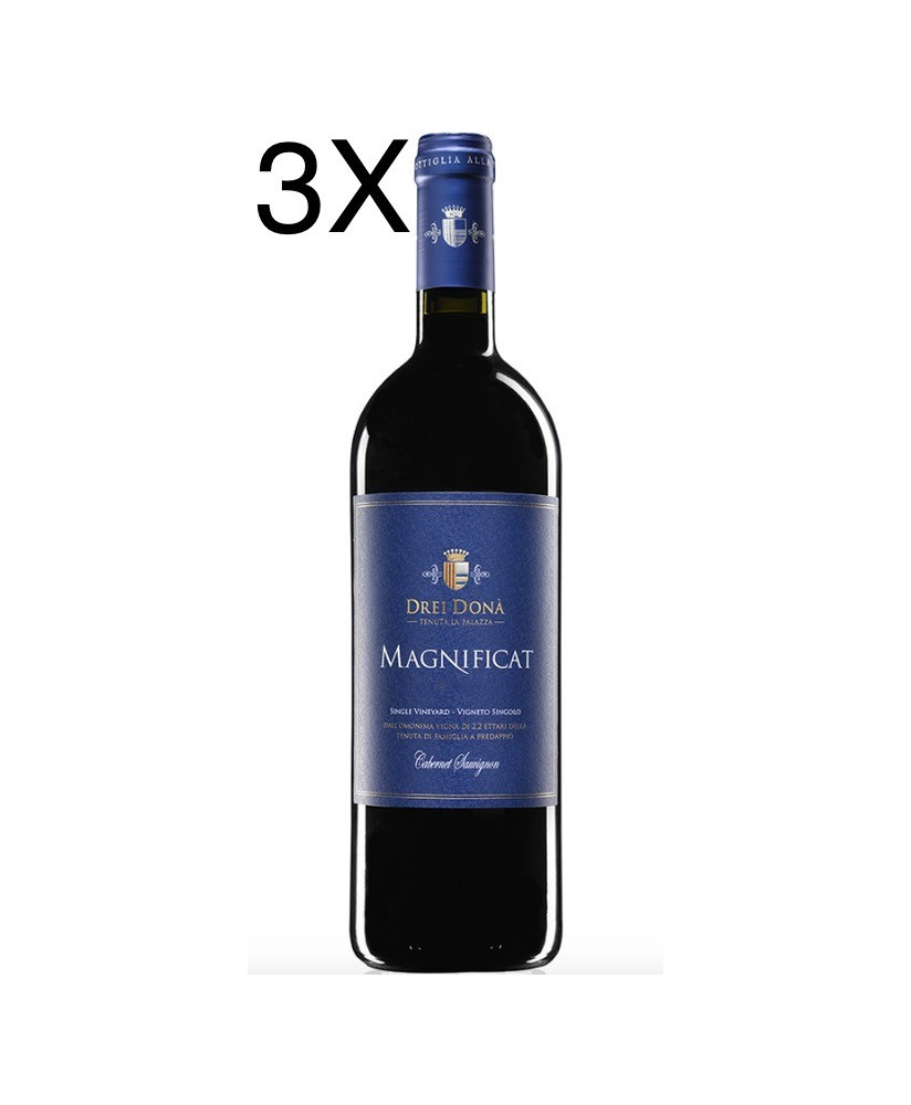 Magnificat vino rosso Drei Donà Cabernet vendita online vini rossi | Corso101.com