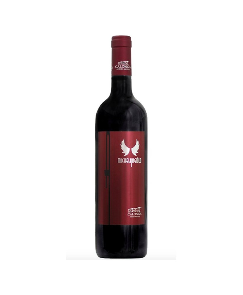 Michelangiolo Calonga sangiovese italian quality red wine online shop | Corso101.com