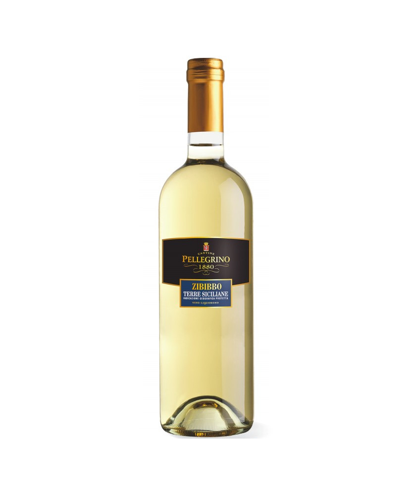 Zibibbo Carlo Pellegrino shop online italian classic sweet wine | Corso101.com