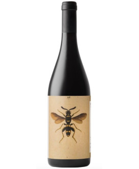 Noelia Ricci Sangiovese Predappio wine romagna shop online quality red wines | corso101.com