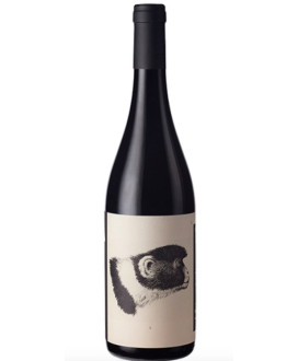 Noelia Ricci Godenza sangiovese Predappio Doc vendita online vini rossi di qualità | corso101.com