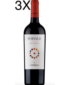 Vini famiglia Cotarella Falesco merlot del Lazio Sodale vendita online prezzo scontato vino rosso | corso101