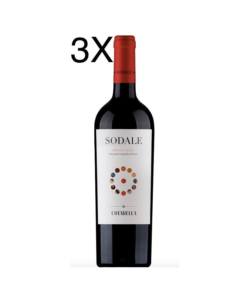 Vini famiglia Cotarella Falesco merlot del Lazio Sodale vendita online prezzo scontato vino rosso | corso101