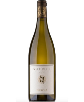 Vini famiglia Cotarella Soente Viognier bianco vendita online | corso101